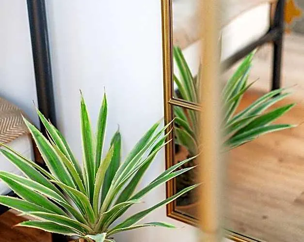 Green Apartments Βιέννη